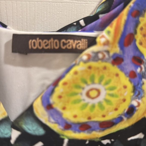 Roberto Cavalli Silky Long Dress - Picture 3 of 7